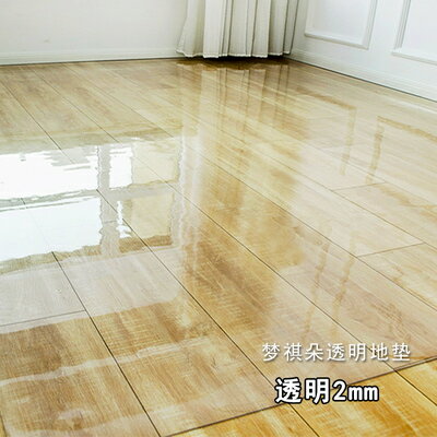 透明地墊pvc門墊塑料地毯木地板保護墊膜進門客廳家用防水滑墊子