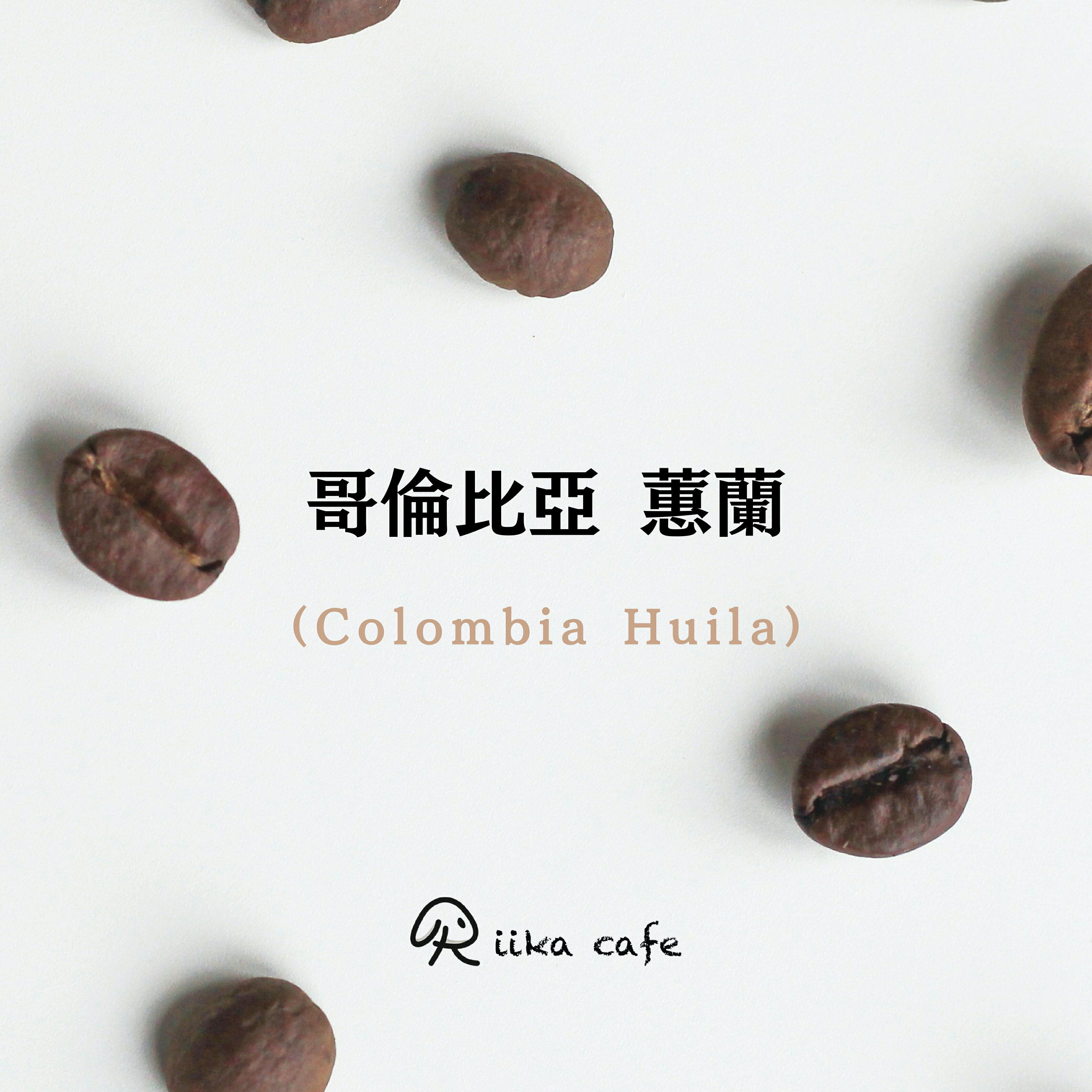 哥倫比亞 蕙蘭 淺焙咖啡豆 台灣第一 世界第二 半磅227g