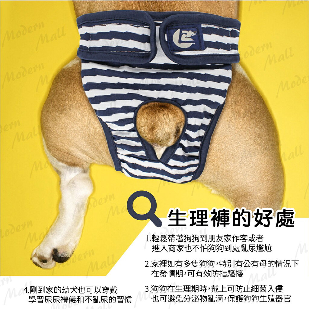 狗狗生理褲【Ｎｅｗ舒適新款💎免運現貨】寵物生理褲 狗生理褲 狗內褲 寵物內褲 不外漏 可更換 防感染 7