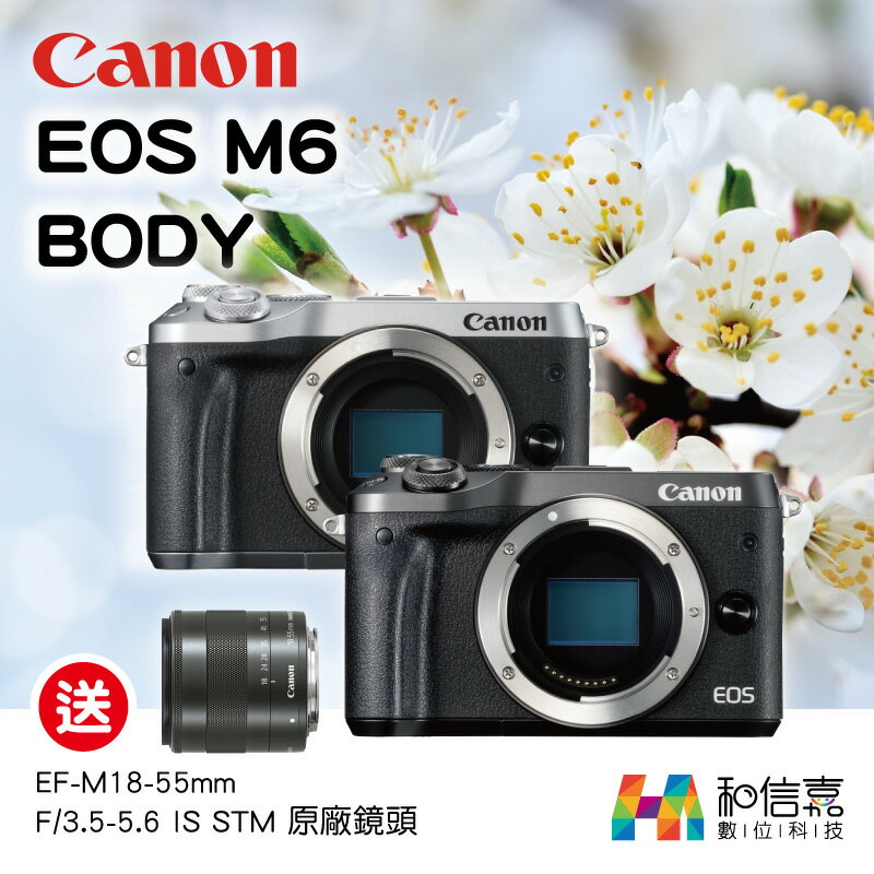 限量送原廠18-55mm變焦鏡頭【和信嘉】Canon EOS M6 BODY 單機身 彩虹公司貨 原廠保固