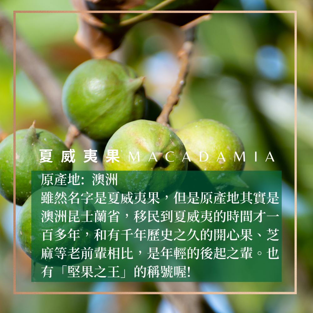 澳洲原味夏威夷果Macadamia零添加，品嚐最純粹的堅果香【Delic好食嗑】 1