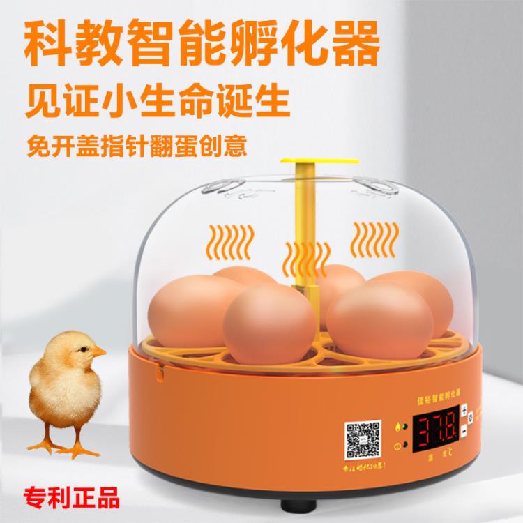 【在台現貨】110V 實驗孵蛋器小雞孵化器小型家用全自動雞蛋孵化箱兒童智慧孵化機