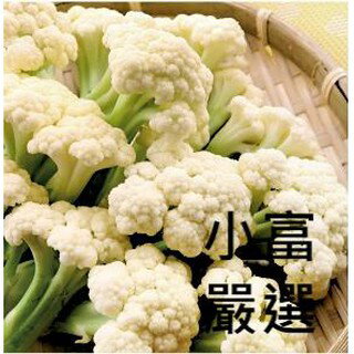 小富嚴選冷凍蔬菜類-熟凍白花椰菜-白花菜(1000g±5%/包) #蔬菜#玉米粒#舒肥雞胸