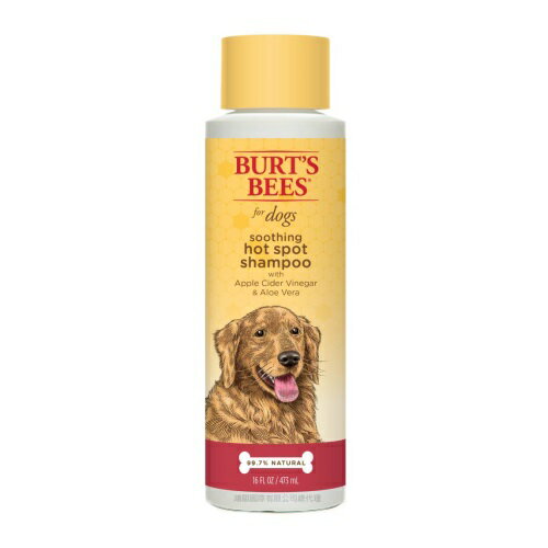 Burt's Bees小蜜蜂爺爺 蘋果醋蘆薈沐浴露16oz/473ml 寵物美容 寵物清潔