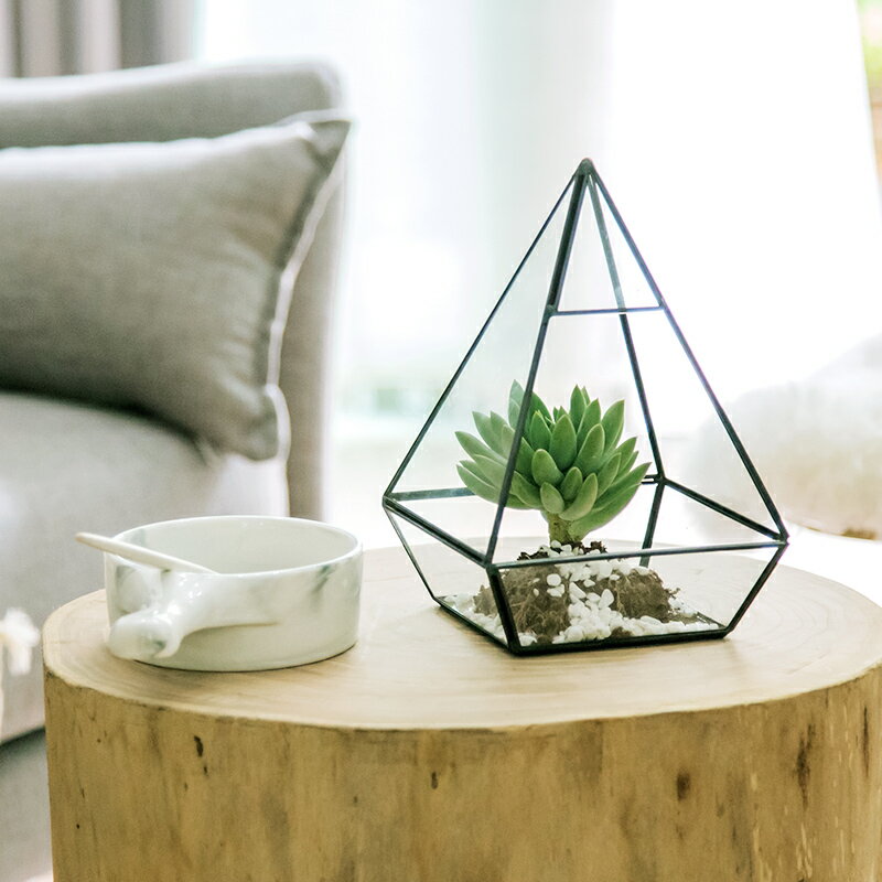 擺件家居飾品現代簡約北歐多肉花盆創意個性玻璃植物盆栽微景架