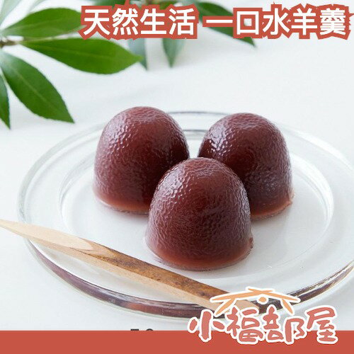 日本製 天然生活 一口水羊羹 50入 紅豆 抹茶 宇治抹茶 綿密 滑順 業務用 分食 點心 夏天 消暑 果凍 羊羹【小福部屋】