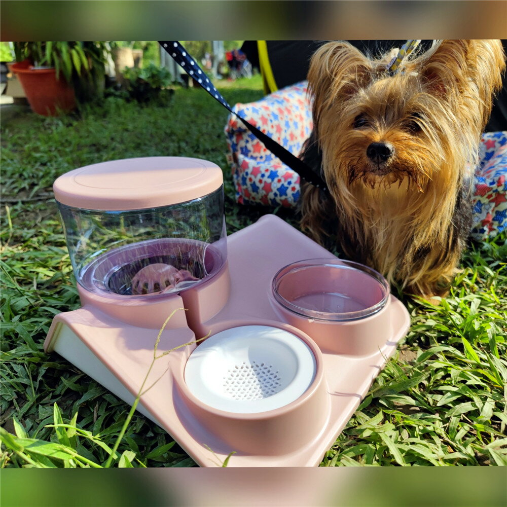 美麗大街 自動寵物餵食器雙碗貓咪飲水器不濕嘴防翻狗狗餵水餵食碗【1101029074】