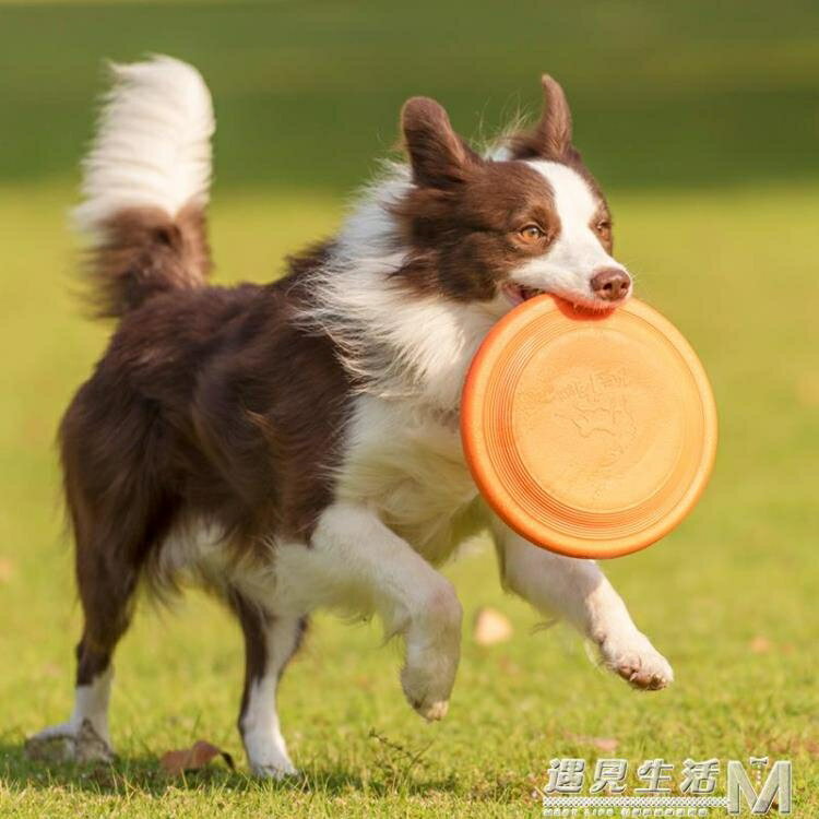 飛盤狗專用飛盤耐咬軟飛碟大中小型邊牧金毛拉布拉多訓犬寵物玩具 99購物節