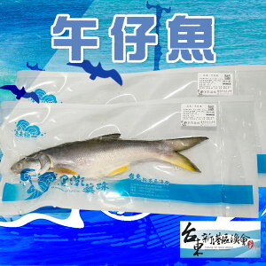 【新港漁會】午仔魚-300g-400g-包 (1包組)