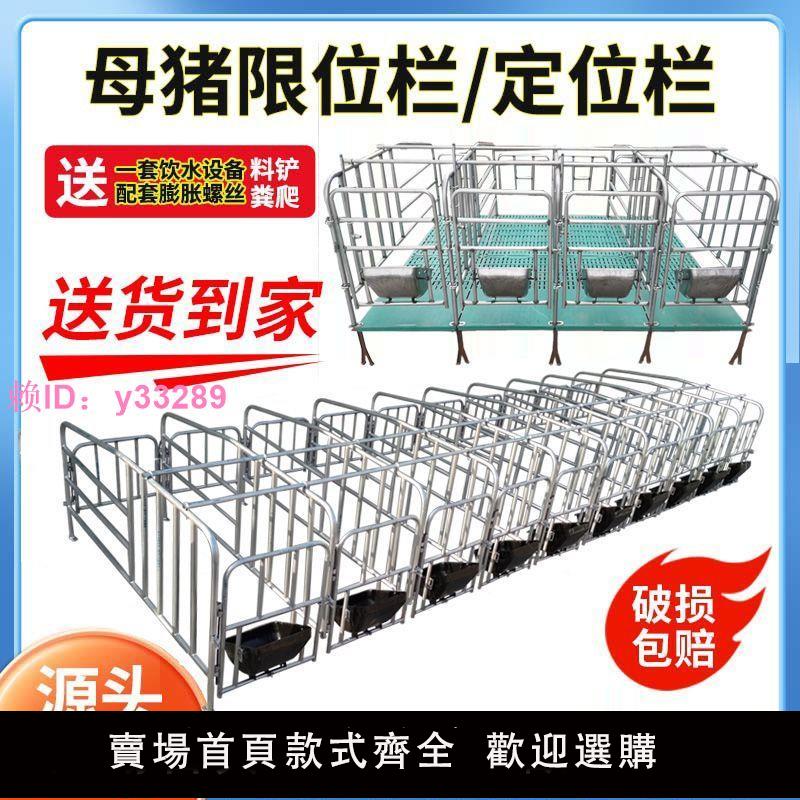 母豬定位欄落地式簡易產床加厚熱鍍鋅母豬限位欄帶漏糞板養殖裝置