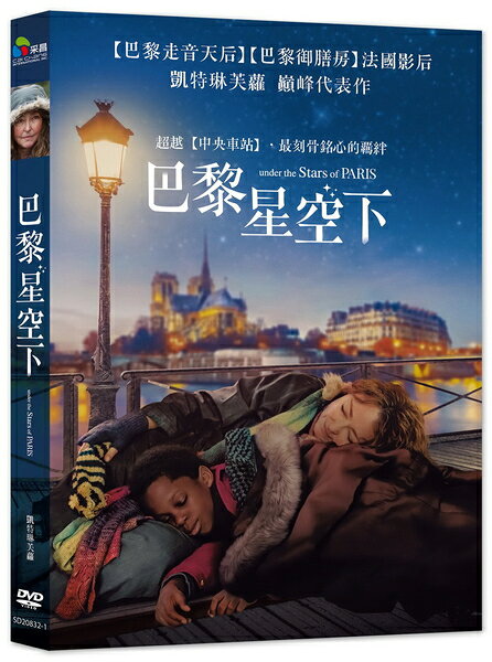 【停看聽音響唱片】【DVD】巴黎星空下