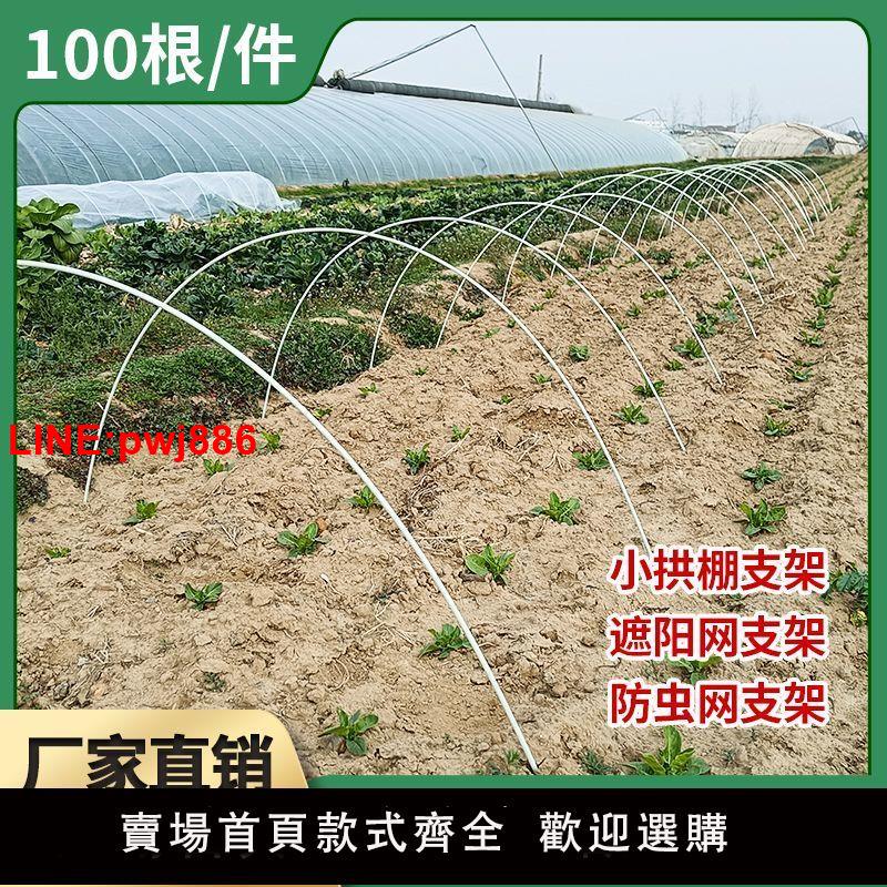 {臺灣公司 可開發票}100根小拱棚支架拱桿竿大棚內棚套棚骨架玻璃纖維桿地膜園藝農用