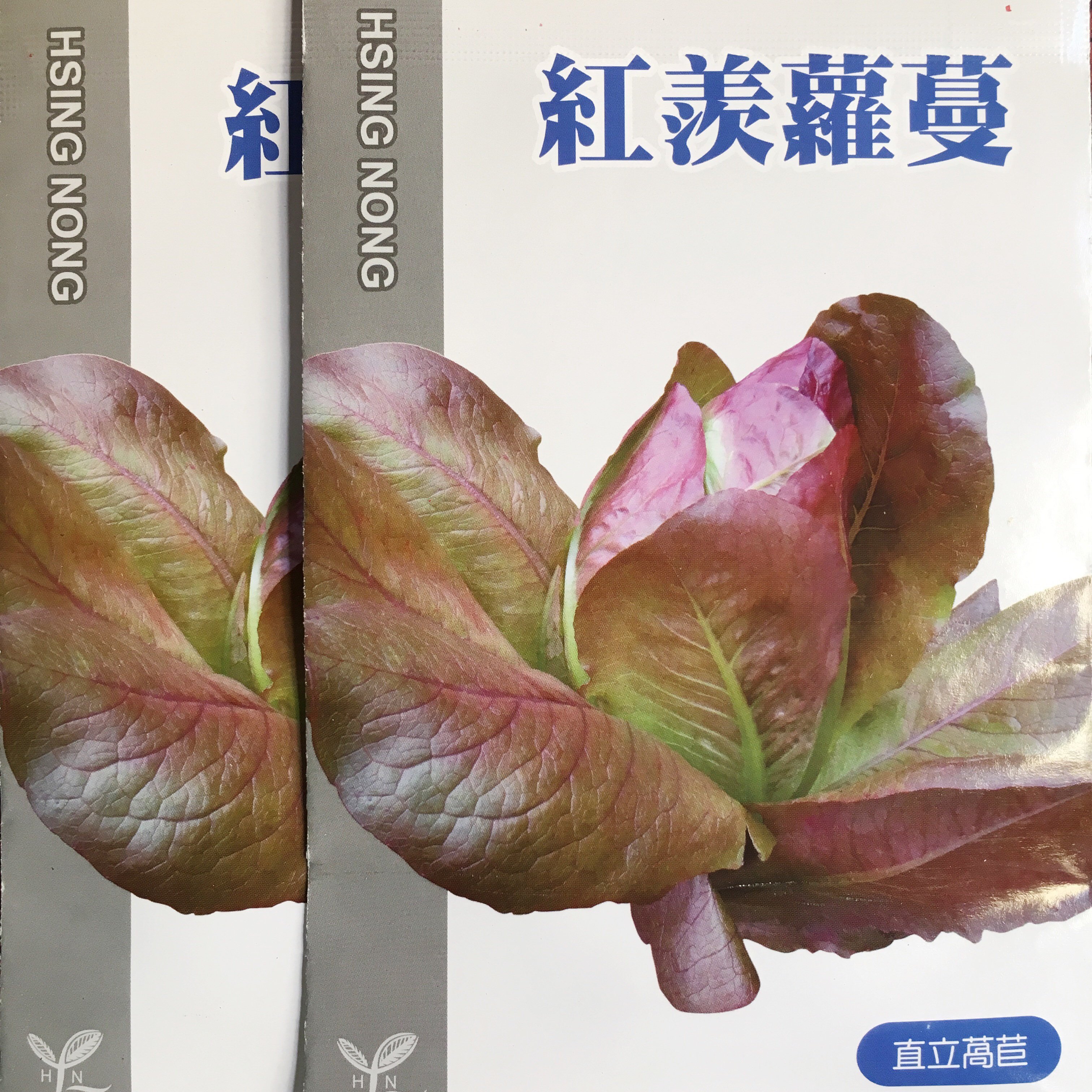 『農stay國輝．原封小包裝40元/包』興農紅羨蘿蔓種子．直立萵苣蔬菜種子立生結球萵苣．無藥劑處理（蔬菜種子）