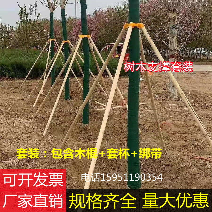 樹木支撐固定器支撐架桿杉木松木楊木棍園林綠化防風工程穩定支架