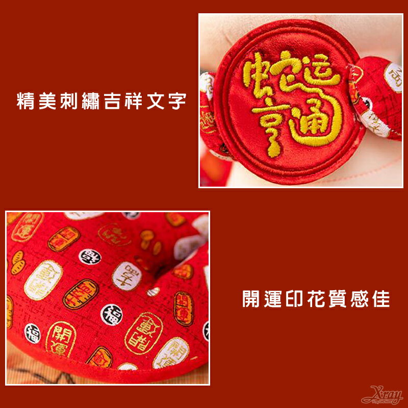 蛇年玩偶，新年吉祥物 過年佈置 新年娃娃 造型生肖娃娃 春節擺飾 娃娃吊飾 抱枕，X射線【Z070001】 8