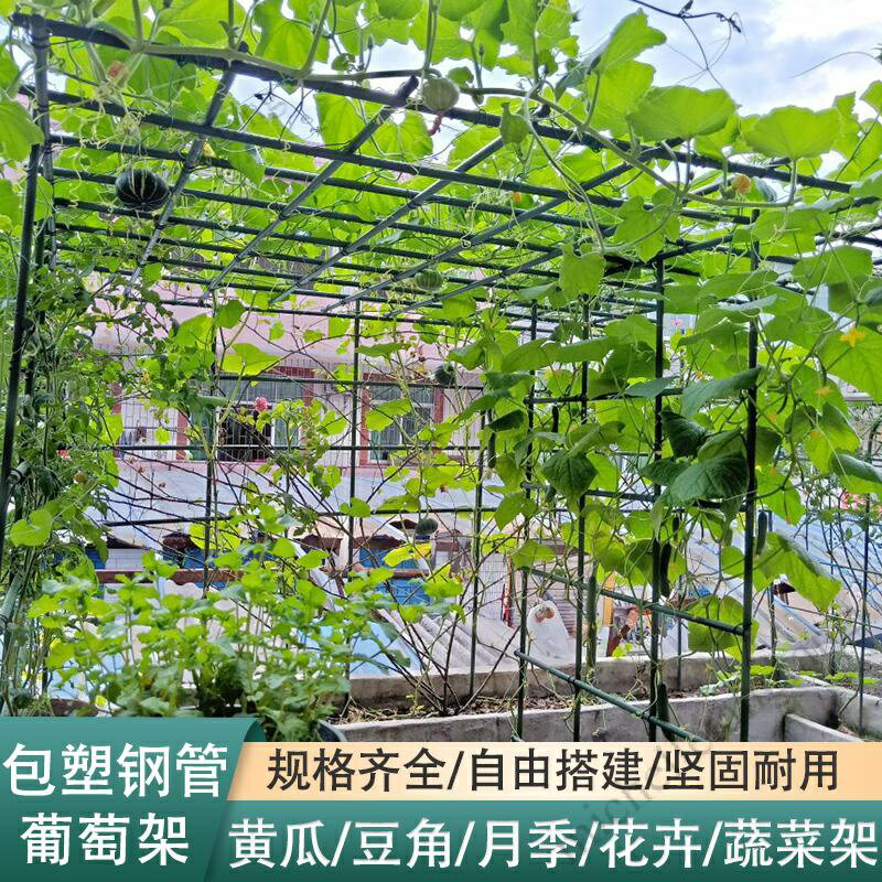 ·破損補發 戶外庭院園藝爬藤花架支架庭院 葡萄架子 花架 爬藤架 園藝花支架 園藝支架 植物架 豆角黃瓜架