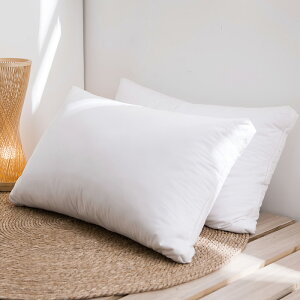 枕頭蕎麥枕單人學生宿舍護頸枕一只裝家用硬蕎皮枕芯一對拍2件