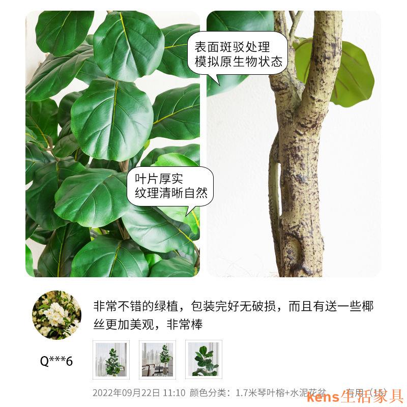 免運 仿真植物 仿真樹 仿真綠植 仿真擺飾 假樹 仿真綠植假植物琴葉榕高端輕奢客廳裝飾大型仿生盆栽室內盆景擺件特惠/開立發票K0929 4