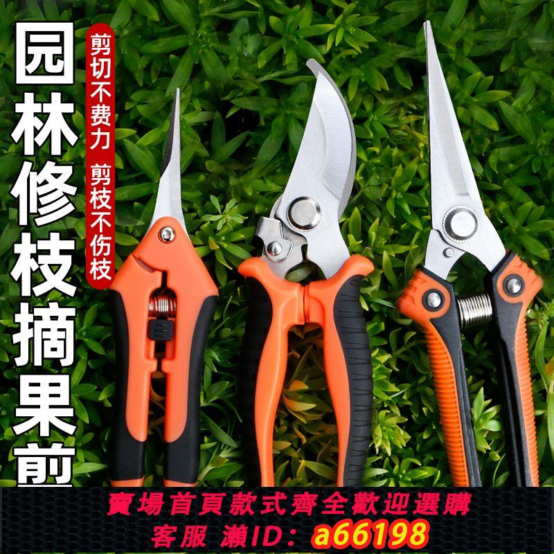 【臺灣公司 可開發票】家用修枝剪果樹專用剪子鮮花園藝剪不銹鋼剪樹枝綠化嫁接園林剪刀