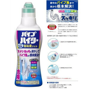 日本 kao Haiter 排水管清潔劑 500g--4901301307453