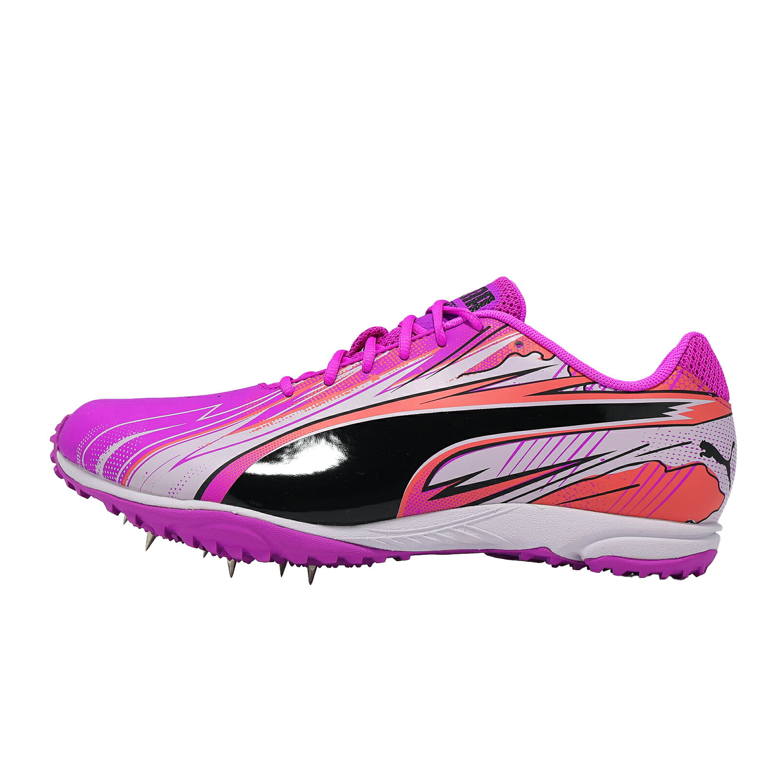 Puma 田徑鞋 EvoSpeed Haraka Sparked 男鞋 紫黑 中長跑 釘鞋 313592-02