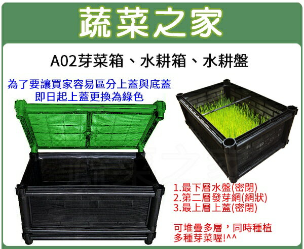 【蔬菜之家005-A30】A02芽菜箱、水耕箱、家庭式多用途芽菜培育箱