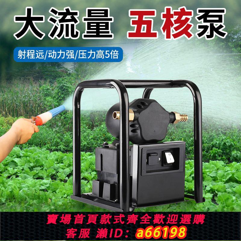 【臺灣公司 可開發票】大功率充電澆菜水泵戶外農用灌溉抽水機12V高壓水泵大流量抽水泵