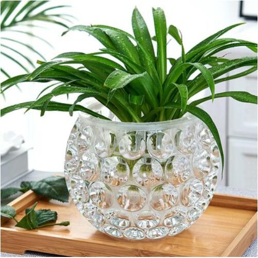 水培器皿創意玻璃花盆水養植物瓶透明花器綠蘿銅錢草花瓶圓形容器【林之舍】