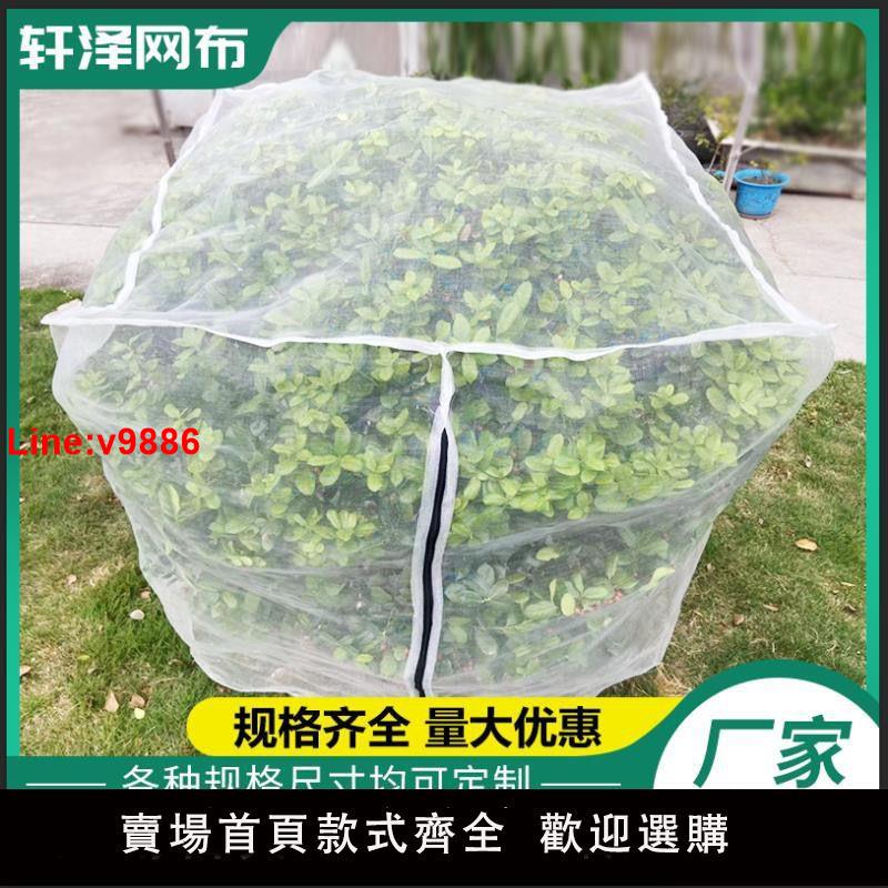 【臺灣公司 超低價】果樹防鳥防蟲網楊梅樹網罩大棚蓮霧藍莓網桃樹防鳥網網罩羅幔蚊帳