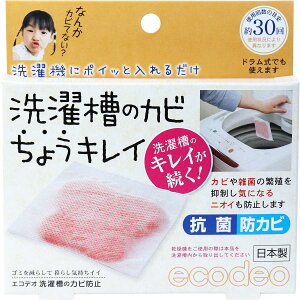 日本製 洗衣槽防黴包（可使用約30回）｜全店$199免運