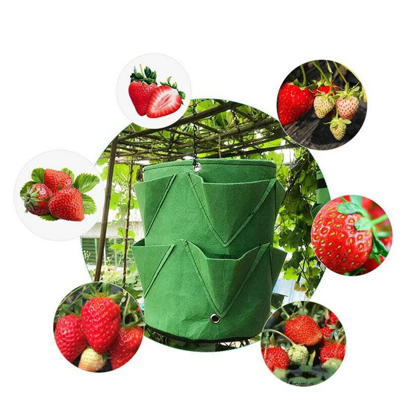草莓土豆種植桶 圓形開口毛氈花園蔬菜營養植物袋種植包