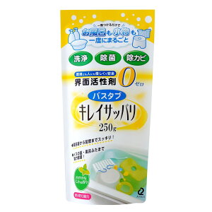 日本製 ARNEST 水槽浴缸清潔劑 洗淨除菌 浴室衛浴 居家打掃大掃除 250ML 日本進口正版 768618