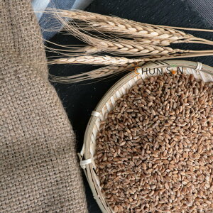 【淳歆】小麥/Wheat 600g (超取限重5㎏) 可以發小麥草🌱