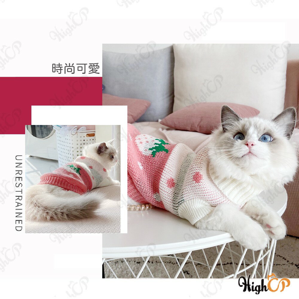 寵物針織毛衣 寵物毛衣 貓咪衣服 狗狗衣服 寵物衣服 寵物衣 貓衣 狗衣 寵物服飾 寵物保暖衣【1118001】 1