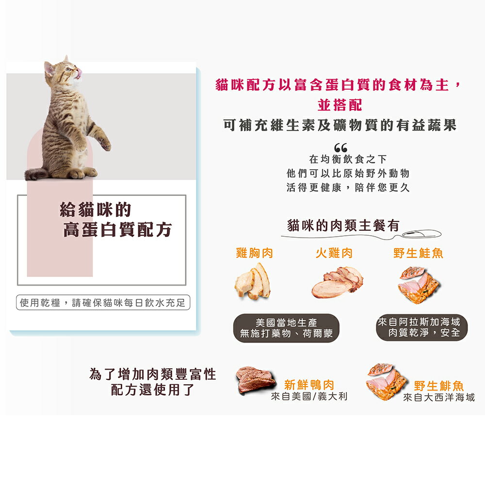 心靈雞湯【經典系列 成貓配方】4.5磅/13.5磅 chicken soup 大西洋特鮭魚雞肉 WDJ推薦天然貓糧 3