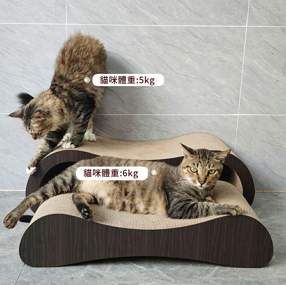 【台灣現貨】組合套裝貓抓板 貓睡窩 深木紋色貓咪坐墊 貓窩結實耐用雙窩貓玩具 2