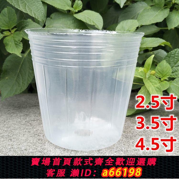【臺灣公司 可開發票】蝴蝶蘭花專用花盆育苗營養杯種植杯石斛蘭花拼組透明塑膠營養缽