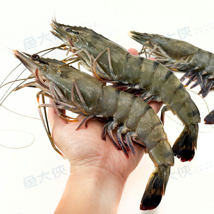 特大-野生海草蝦 3P裝(毛850g/實430g/盒)-1D3B【魚大俠】SP158