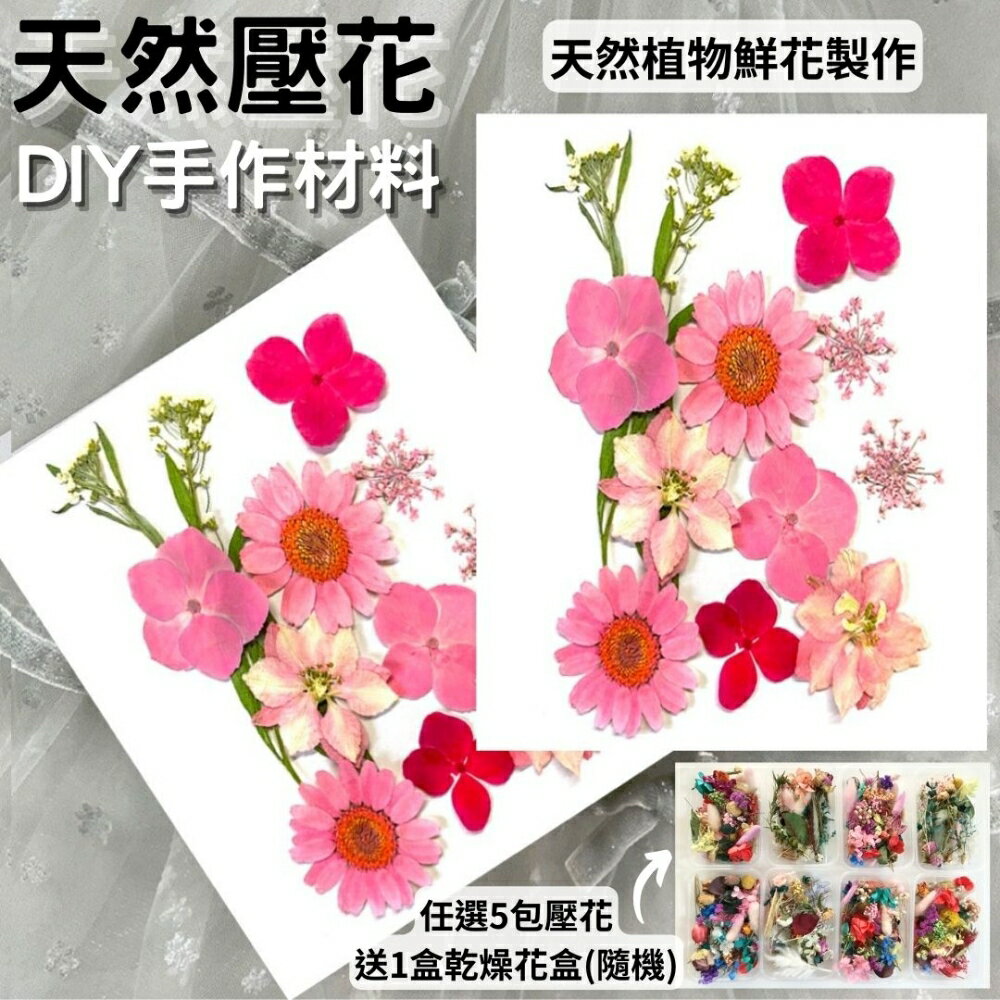 【A-ONE】乾燥壓花 押花材料 永生花 植物花卉 手賬手工裝飾 DIY材料 花朵 壓花貼畫 材料包