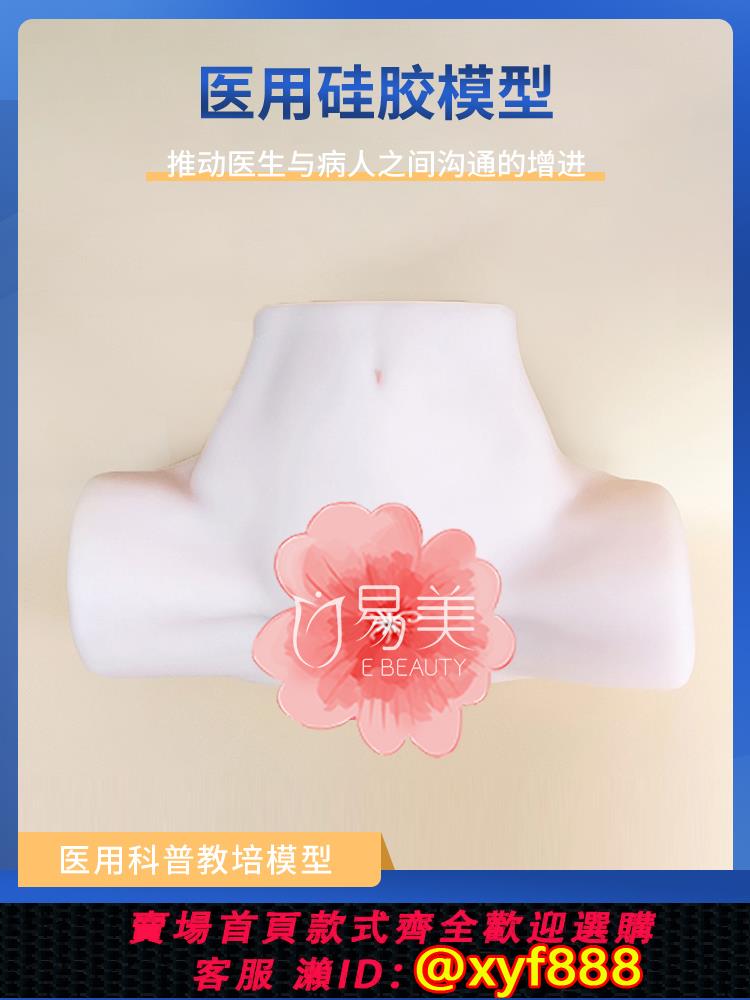 {可打統編 保固一年}女性婦科檢查模型硅膠醫學培訓醫學解剖月子會所教具整形手法練習