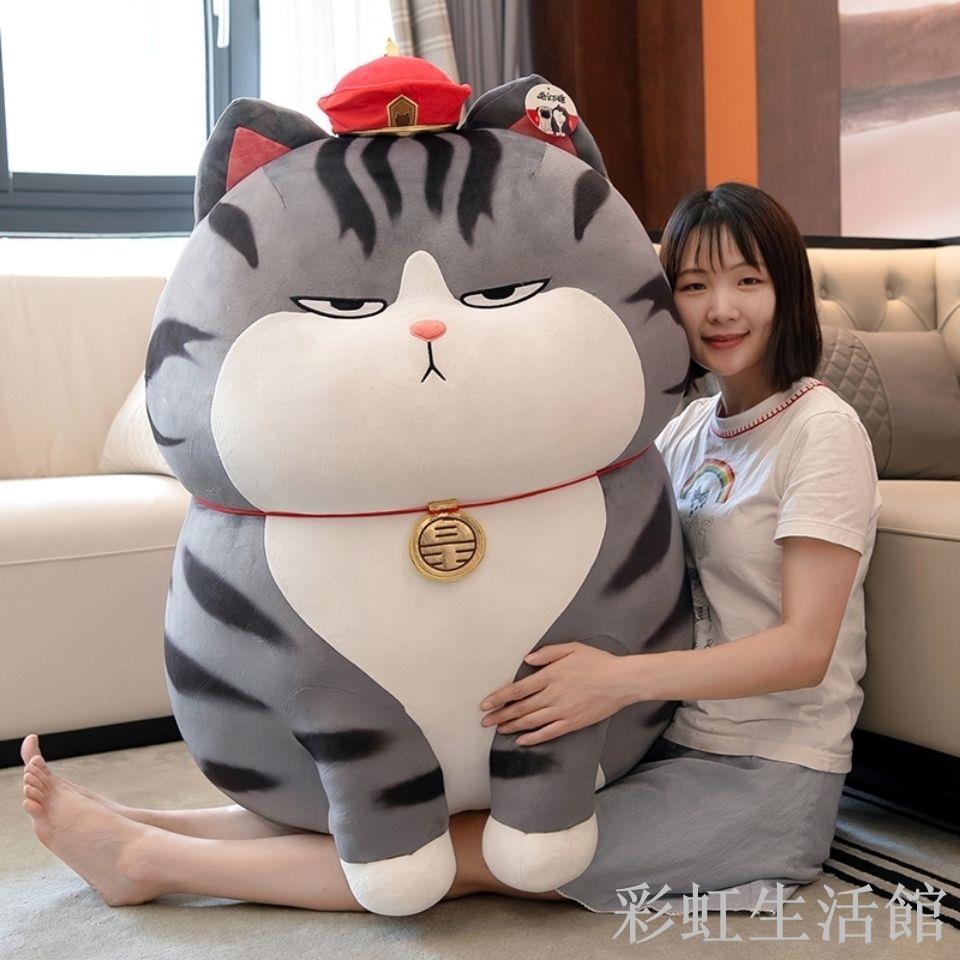 網紅公仔毛絨娃娃貓咪生日禮物睡覺抱女生玩具廠家直銷吾皇貓玩偶
