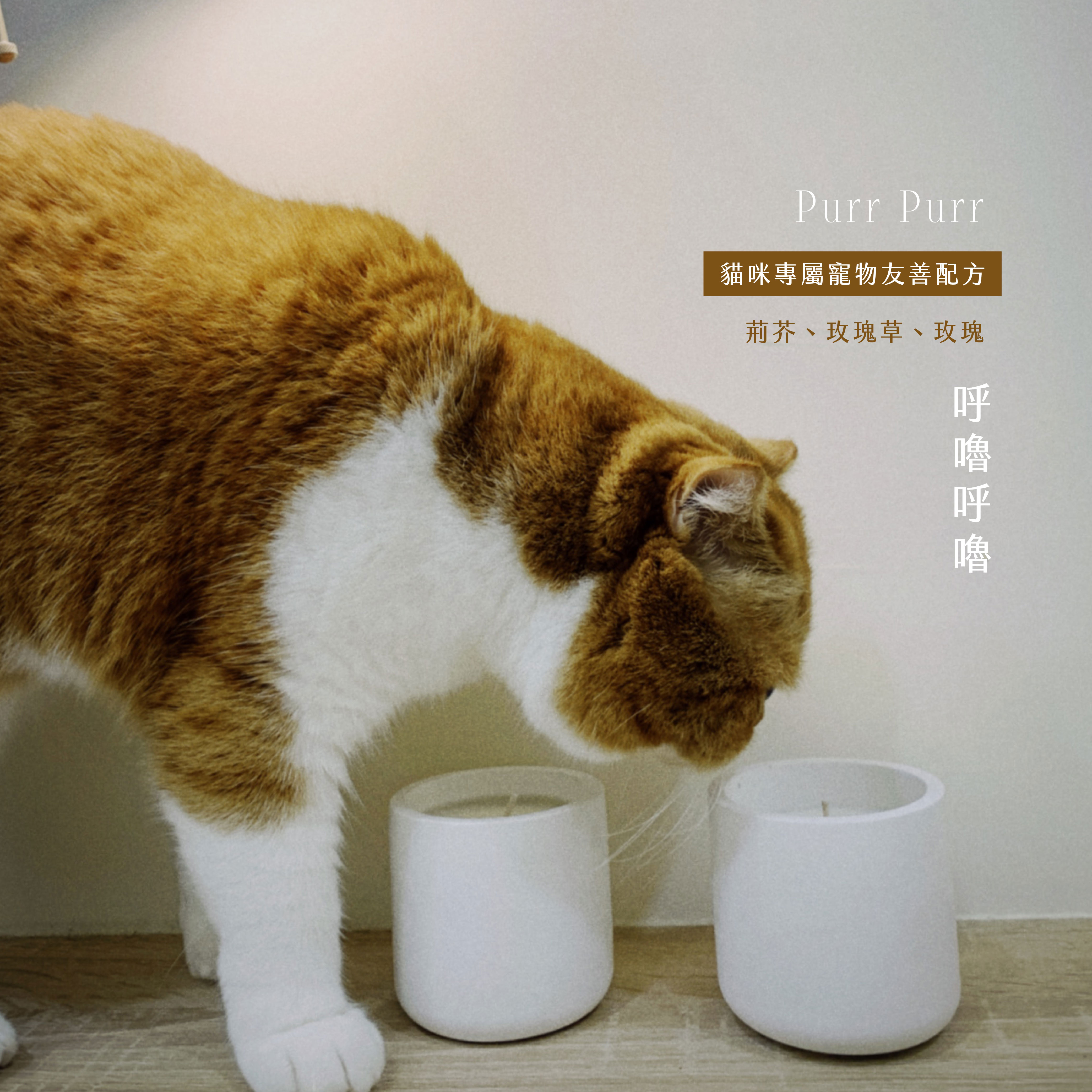 【Sakido】寵物友善香氛蠟燭｜貓咪專屬！NO.0618 呼嚕呼嚕 溫感馬油蠟燭
