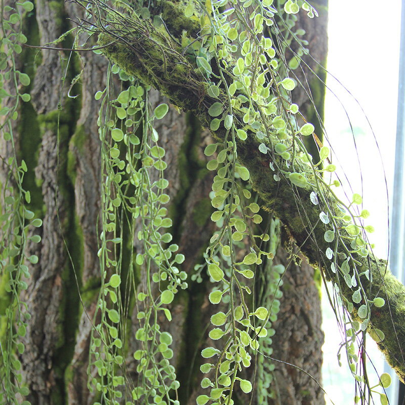 模擬垂吊掛蕨類植物吊籃藤蔓樹藤根須葉子植物角壁掛造景懸掛裝飾