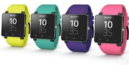 SONY SmartWatch 2 SW2 原廠 防水藍芽智慧手錶錶帶/手錶錶帶/原廠錶帶/替換式錶帶/神腦公司貨
