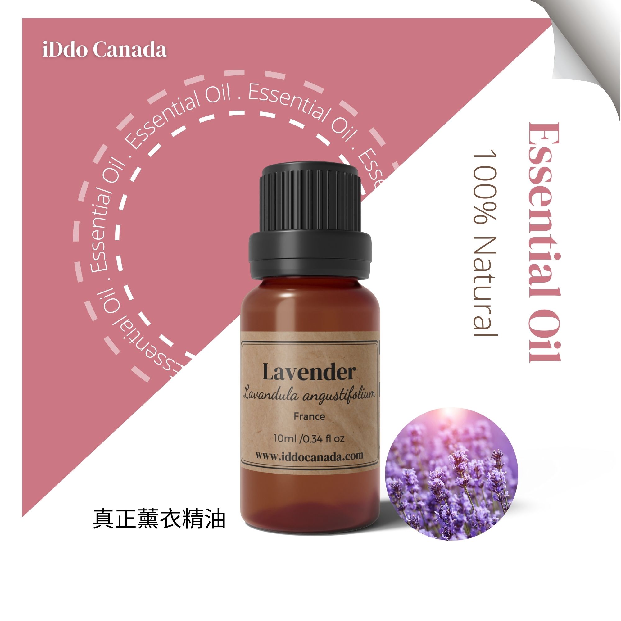 芳療師嚴選 單方精油 -薰衣草10ml