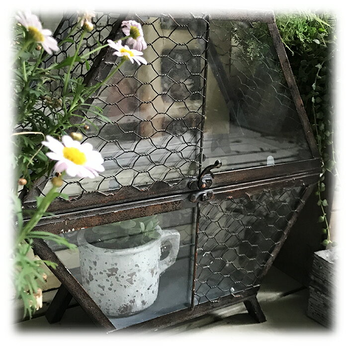 孤品 復古做舊鐵+玻璃花房 花器 擺件 鄉村懷舊風格1入