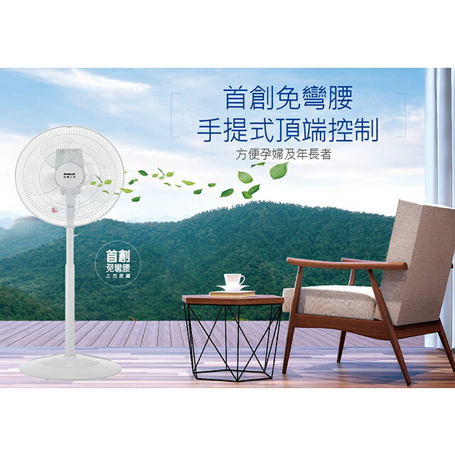 台灣三洋EF-14DHA  14吋DC直流電風扇 1