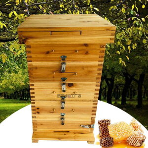 限時下殺蜜蜂加厚蜂箱全套杉木五層方格子養蜂專用中蜂格子箱原木煮臘碳化