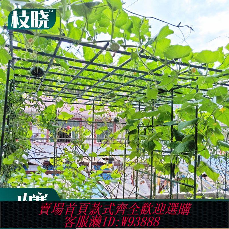 【2286人好評】葡萄架子庭院戶外花架爬藤支架絲瓜百香果植物花卉包塑鋼管支撐架