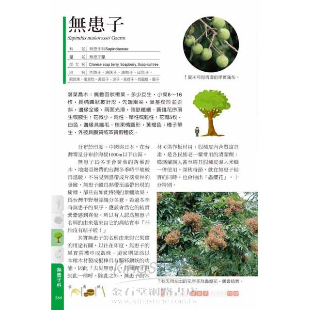 台灣民族植物圖鑑 樂天書城直營店 樂天市場rakuten